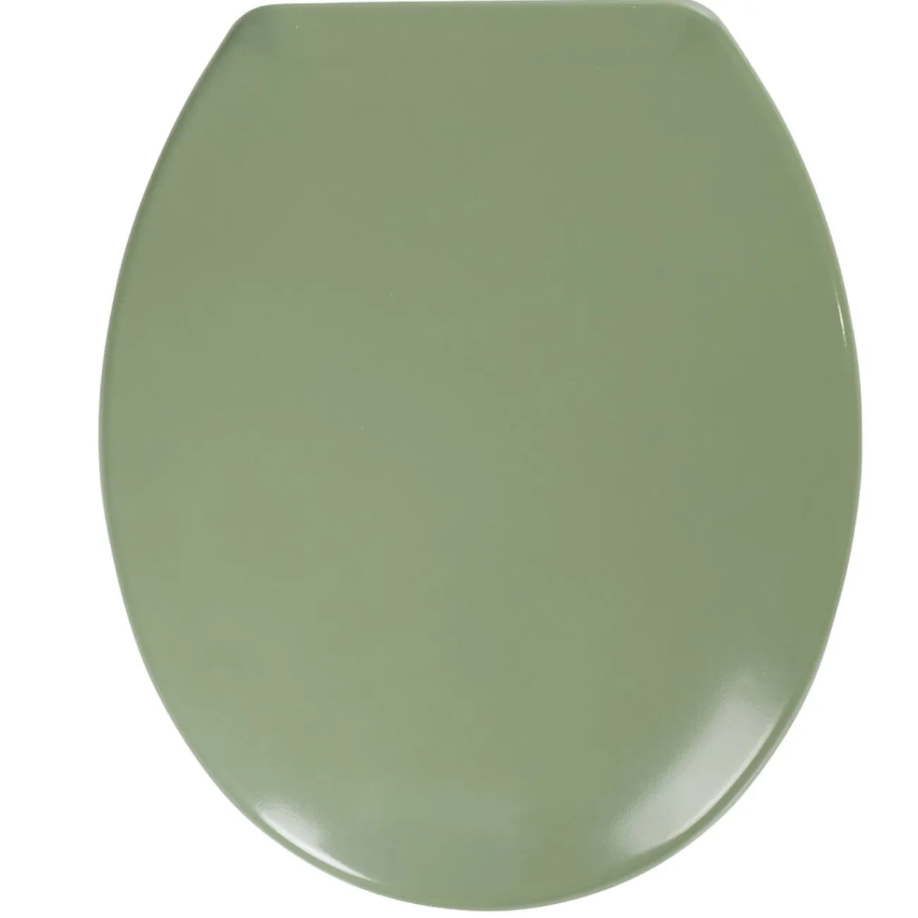 Gifi Equipement Wc^Abattant WC plastique duroplast vert foncé frein de chute