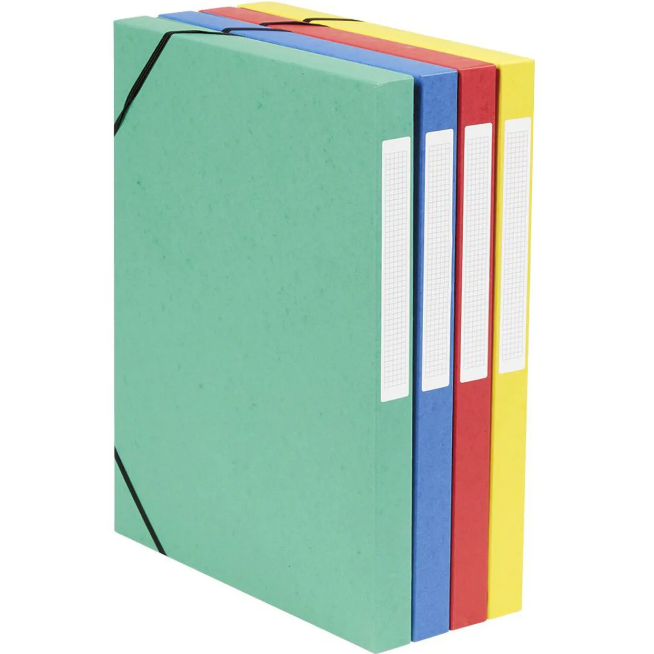 Gifi Rangement|Boîte de classement cartonnée élastique x4