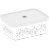 Gifi Rangement|Boîte de rangement avec couvercle design floral 3 L