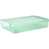Gifi Rangement|Boîte de rangement avec fermeture à clips vert 4 L