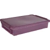 Gifi Rangement|Boîte de rangement avec fermeture à clip violet 4 L