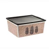 Gifi Rangement|Boîte de rangement motif ananas 18 L