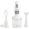 New Gifi Mixeur 3 en 1 Homday