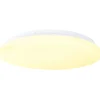 Gifi Ampoule^Plafonnier LED connecté WIFI